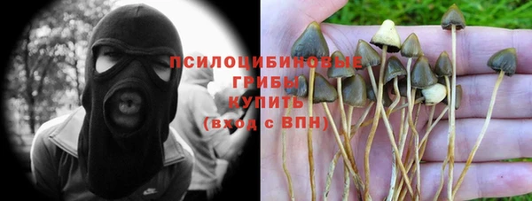 твердый Белокуриха