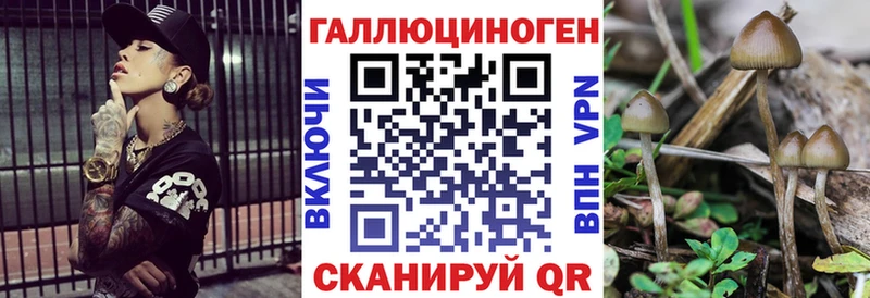 даркнет сайт  Северск  Псилоцибиновые грибы мицелий 