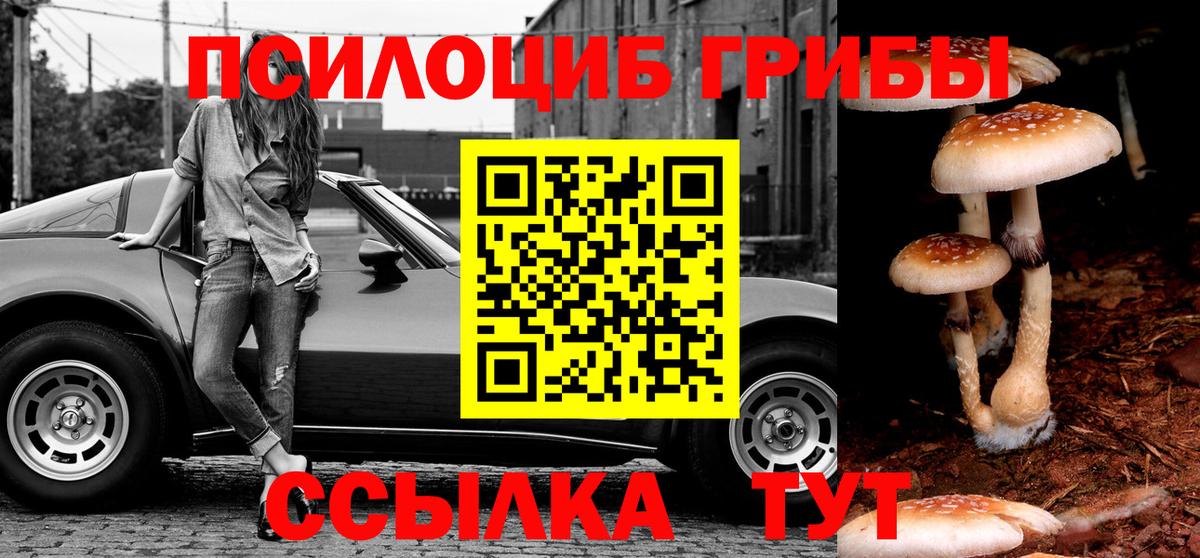 Галлюциногенные грибы Cubensis Северск